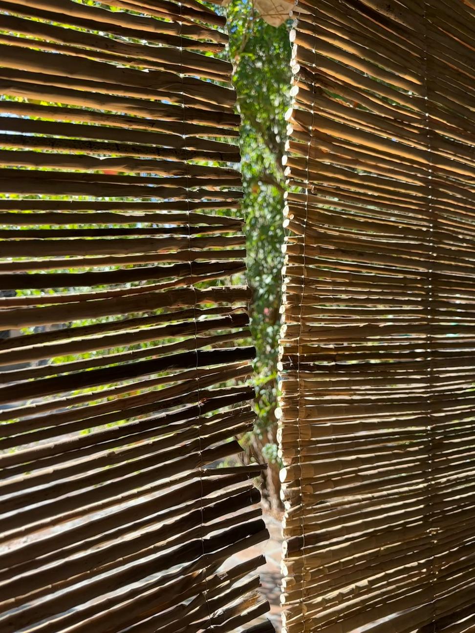 Bamboo materials
