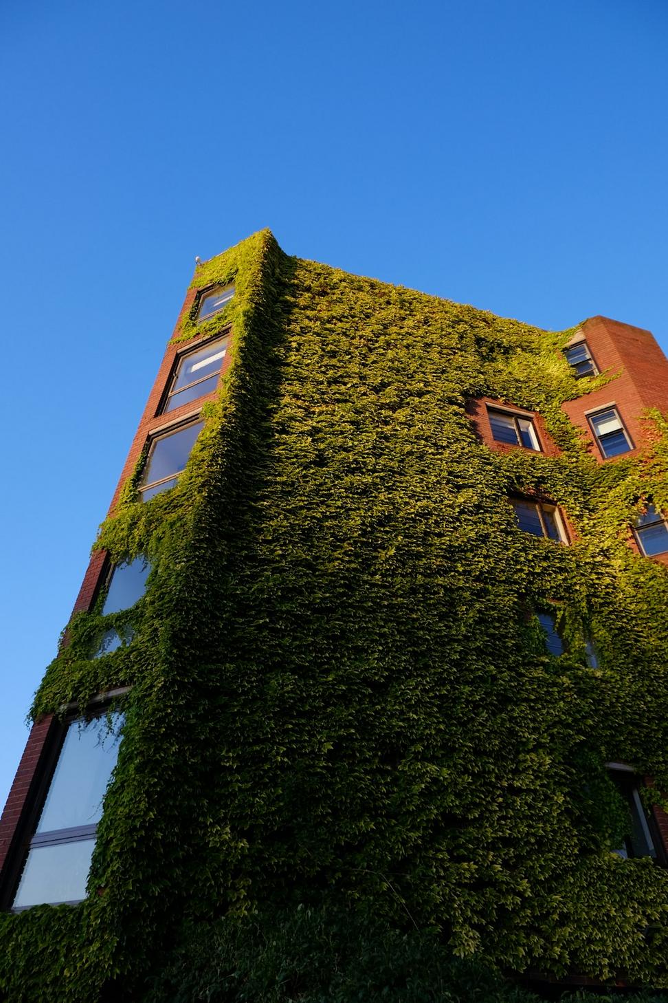 Green building